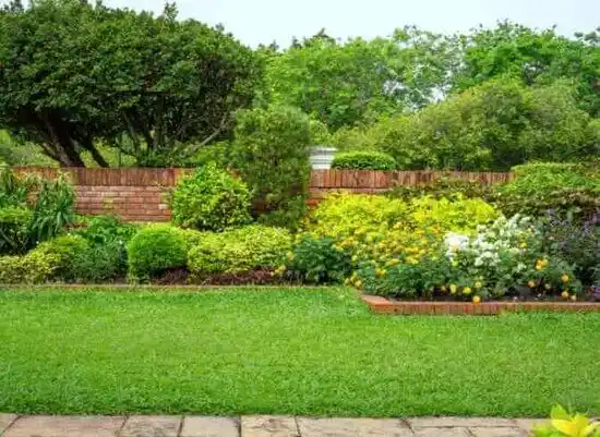 landscaping services New Carrollton